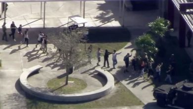 florida_2.jpg