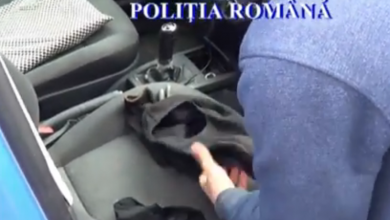furturiauto.png