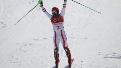 hirscher_5.jpg