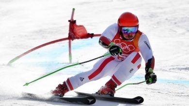 hirscher_6.jpg