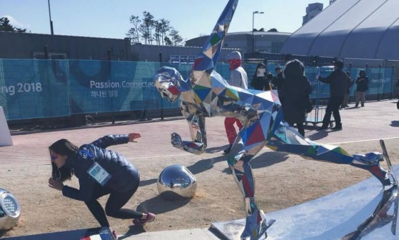 PYEONGCHANG 2018. Ea este patinatoarea din Canada ce reprezintă România la J.O.!!!... 1 ianculescu.jpg
