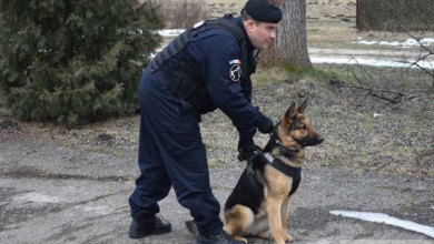 jandarm si caine_247621.jpg