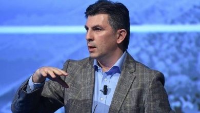 lupescu_2.jpg