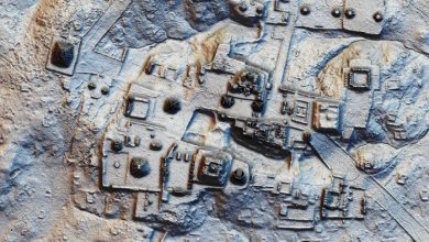 maya_3.jpg