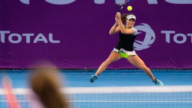 niculescu_28.jpg