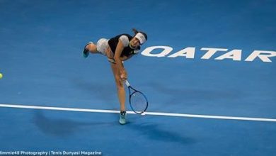 niculescu_29.jpg