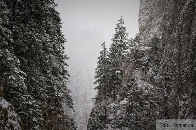 BRAŞOV. Cum arată Prăpăstiile Zărneştiului după ninsoarea de februarie. IMAGINI AMEŢITOARE 1 prapastiile zarnestiului 2_247699.jpg