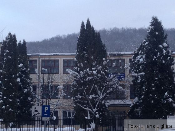 scoala 4 (1)_247072.JPG