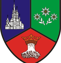stema-jud-brasov.png