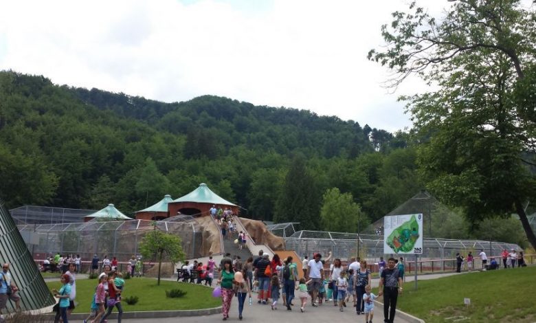 BRAŞOV. Dacă încarci un card de călătorie „Practic” cu cel puţin 10 lei, primeşti cadou un voucher pentru intrare gratuită la Grădina Zoologică 1 zoo-brasov.jpg