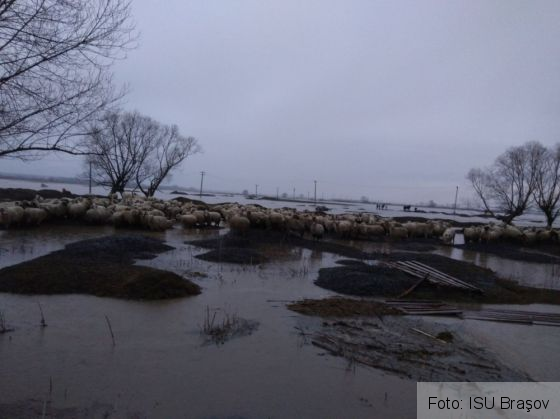 IMG-20180315-WA0009_248856.jpg