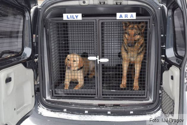 BRAŞOV. „Mărţişor” pentru grupa canină a Jandarmeriei Braşov 1 autovehicul caini_248288.jpg