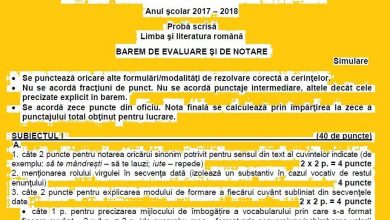 barem_6.jpg
