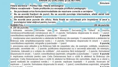 baremrealxii_2.jpg