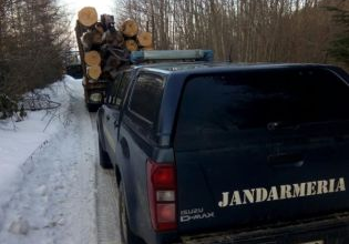 control jandarmi_248603.jpg