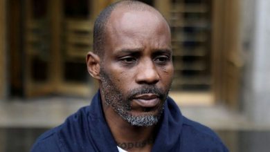 dmx.jpg