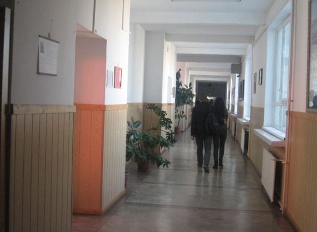 eleviholscoala.jpg