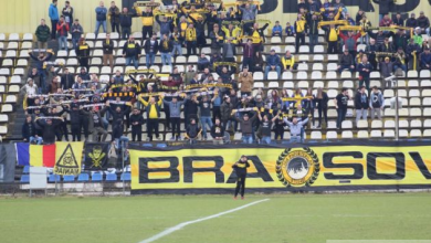 fani_248966.jpg