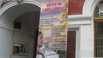 img-7807.jpg