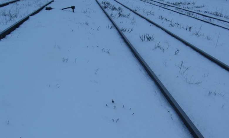 18 trenuri vor fi anulate mâine din cauza vremii 1 img-7865.jpg