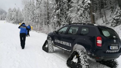 interventie jandarmi_249344.jpg