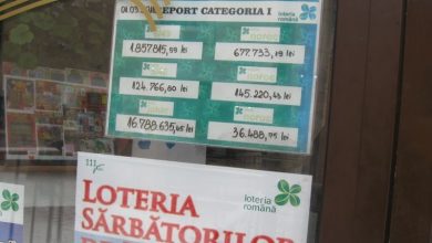 lotoreport_6.jpg