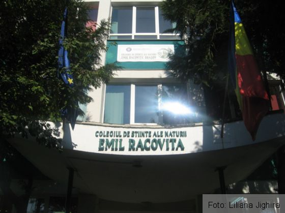 lsn_248301.jpg