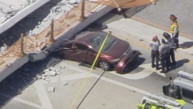 miami_2.jpg