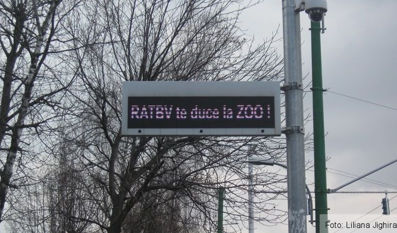 BRAȘOV. Bilete gratuite la Zoo, de la... RATBV 1 ratbvzoo.jpg