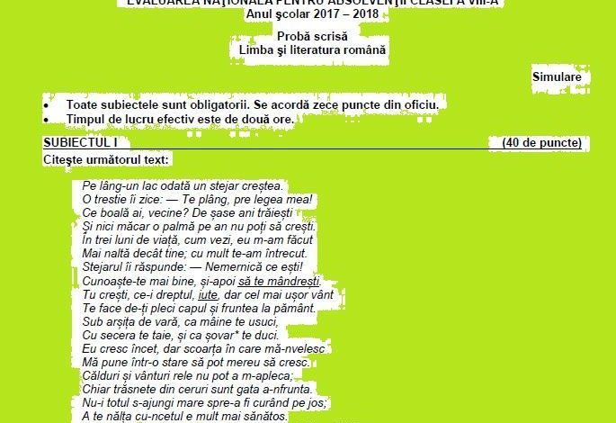 Evaluarea Naţională. Subiectul la Limba şi literatura română 1 subiect_3.jpg