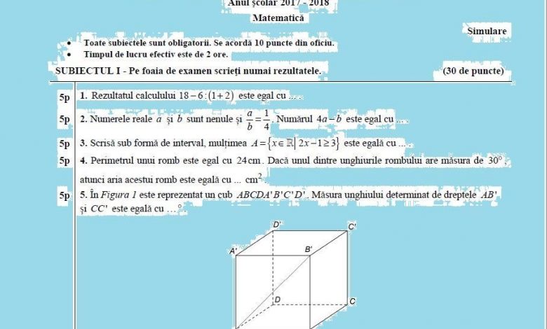 Evaluarea Națională. Subiectele la matematică și cum se notează 1 submate_5.jpg