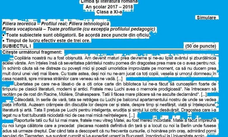 BAC 2018. Ce au avut de rezolvat la română elevii claselor a XI-a 1 subumanxi_2.jpg