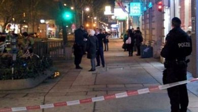 viena_2.jpg