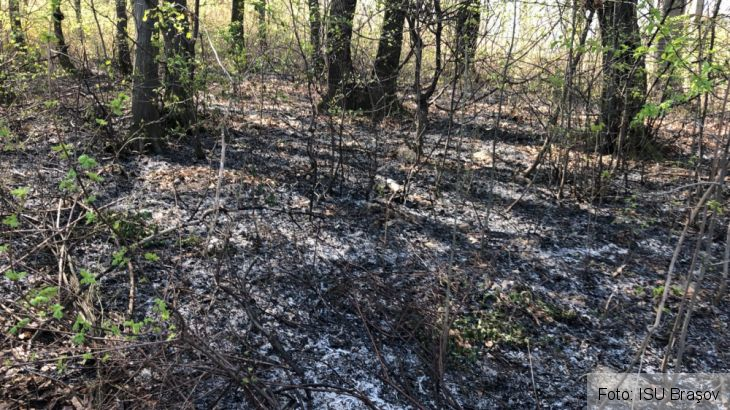 BRAŞOV. Incendiu de vegetaţie în zona străzii Calcarului (update FOTO) 1 IMG-20180412-WA0005_250163.jpg