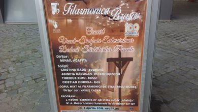 afismagiacopilariei.jpg
