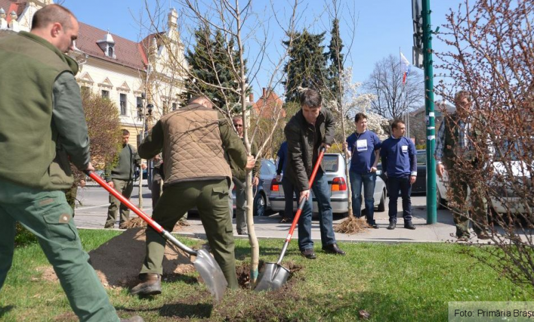 BRAŞOV. Astăzi au fost plantaţi în oraş primii arbuşti 1 and-8883.jpg