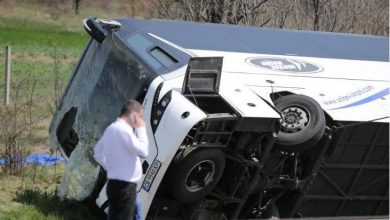 autocar_8.jpg