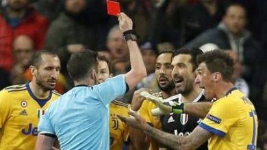 buffon_7.jpg