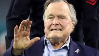 bush.jpg