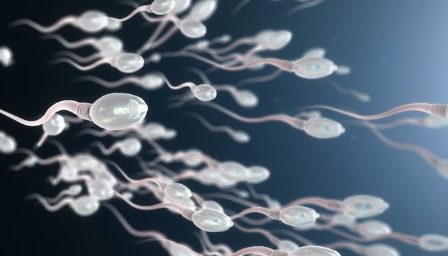 Tată a 9 copii, a aflat că e... INFERTIL!!! 1 fertilitate.jpg