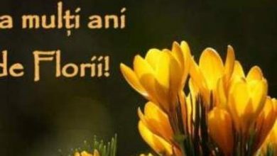 florii_2.jpg