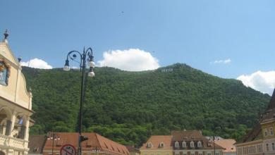 img-0049.jpg
