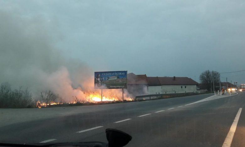 incendiumandra.jpg