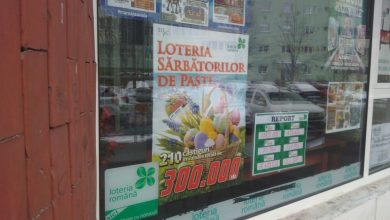 loto4.jpeg