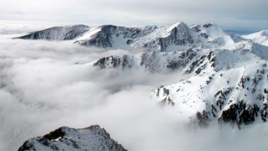 muntiifagaras2.jpg