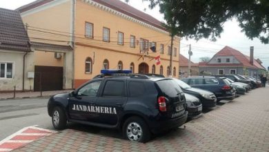 perchezitiighimbav1.jpg