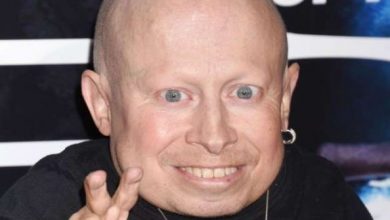 vernetroyer.jpg