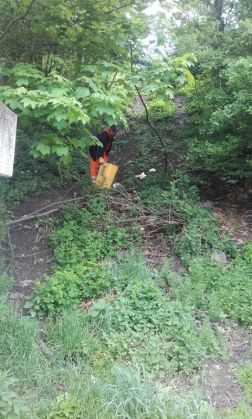 BRAŞOV. Urşii au dat iama la coşurile de gunoi de pe DN 1 (FOTO) 1 IMG-20180511-WA0001_251407.jpg