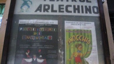 afisearlechino.jpg