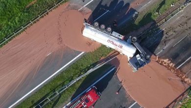 camion_5.jpg